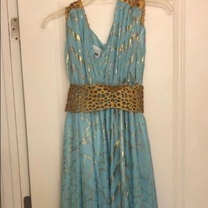 Daenerys Targaryen Costume